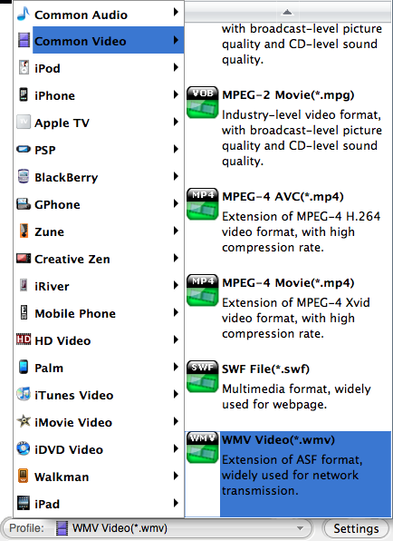 choose mp4 as output format