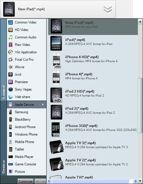 swf to mp4 for ipod